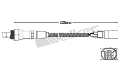 walkerproducts-80095021