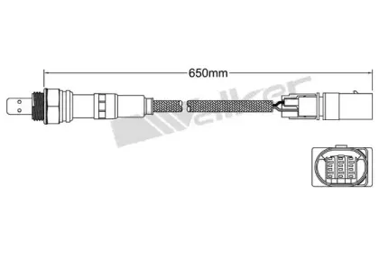 walkerproducts-80095022