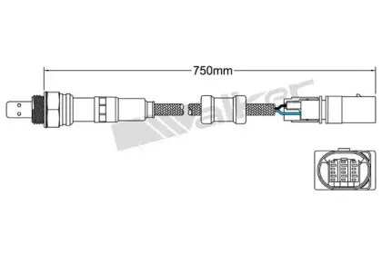 walkerproducts-80095026