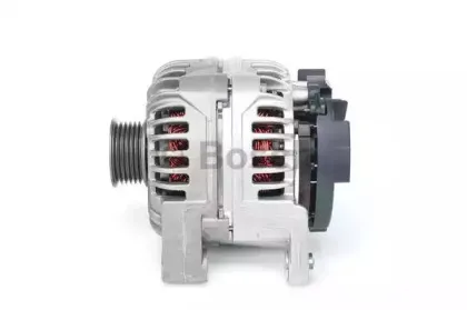 bosch-0124525030