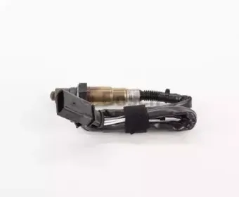 bosch-0258006816
