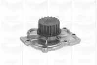 PA1019 GRAF Водяной насос