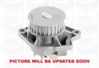 PA674 GRAF Водяной насос