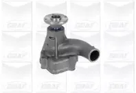 PA781 GRAF Водяной насос