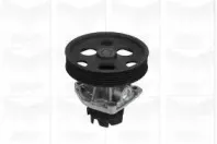 PA998 GRAF Водяной насос