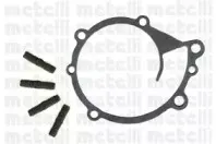 cifam-824203