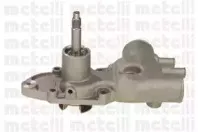 cifam-824336