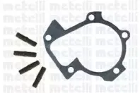 cifam-824555