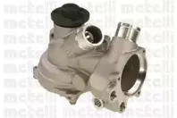 cifam-824580