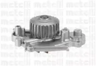 cifam-824896