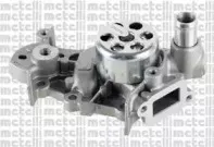 cifam-824981