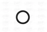 kwp-101023