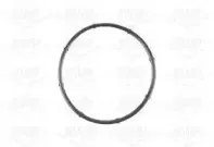 kwp-101125