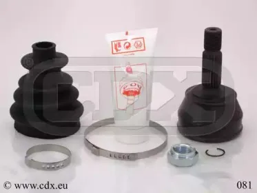cdx-081