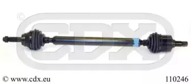 cdx-110246