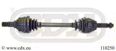 cdx-110250