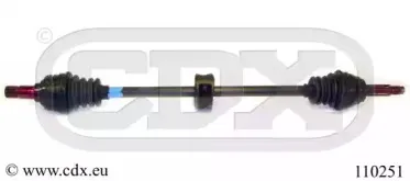 cdx-110251