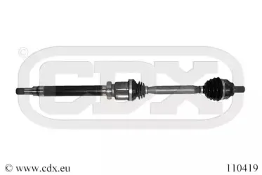 cdx-110419