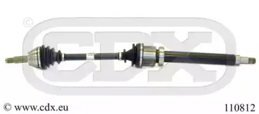 cdx-110812