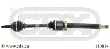 cdx-110814