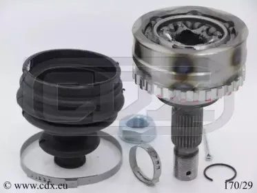 cdx-17029
