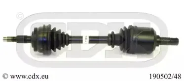 cdx-19050248