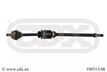 cdx-19051348