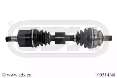 cdx-19051448