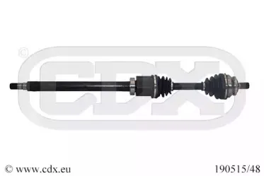 cdx-19051548