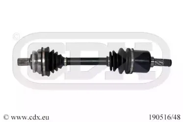 cdx-19051648