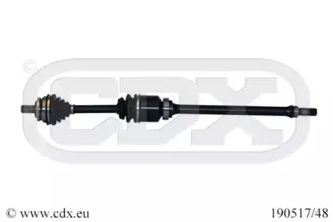 cdx-19051748