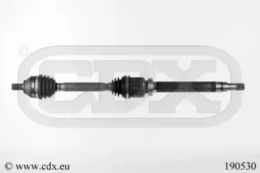 cdx-190530