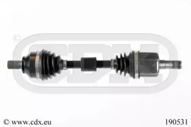 cdx-190531