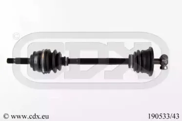 cdx-19053343