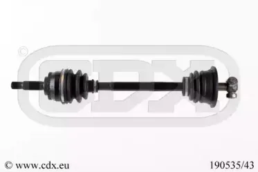 cdx-19053543