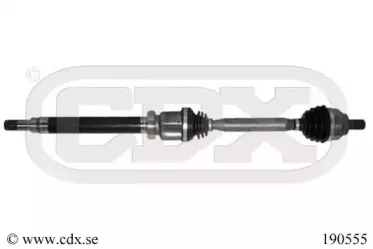 cdx-190555