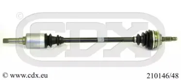 cdx-21014648