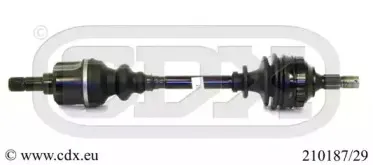 cdx-21018729