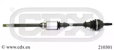 cdx-210301