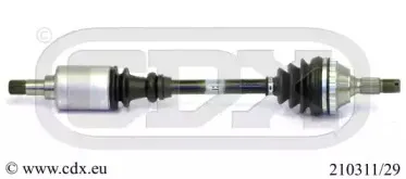 cdx-21031129