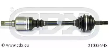 cdx-21035648