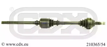 cdx-21036554