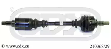 cdx-21036829