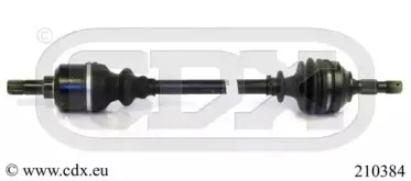 cdx-210384
