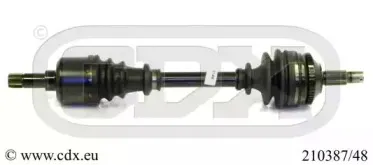 cdx-21038748