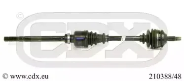 cdx-21038848