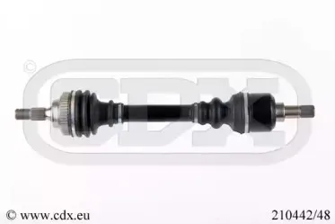 cdx-21044248