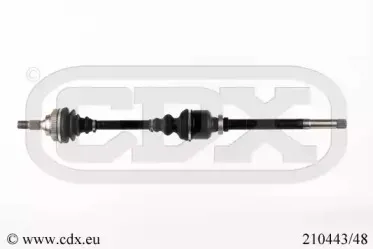 cdx-21044348