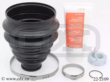 cdx-222109