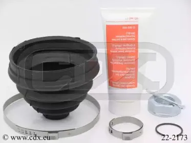 cdx-222173